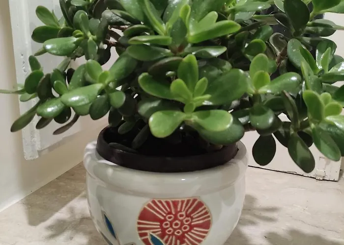 Pecla Ortigia Apartmán Syracuse